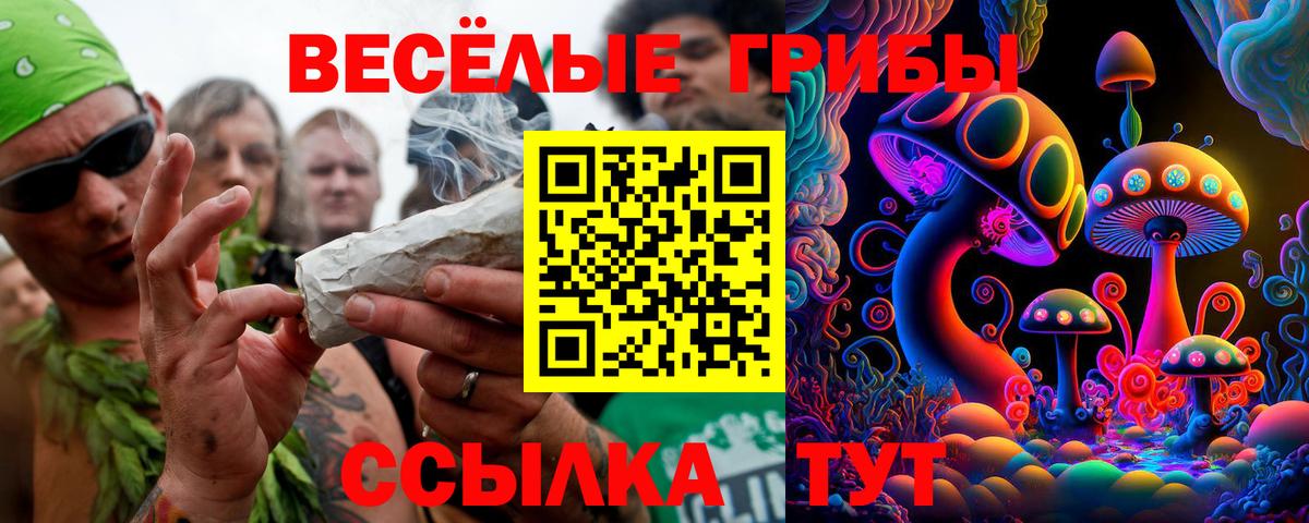 Галлюциногенные грибы MAGIC MUSHROOMS Карасук