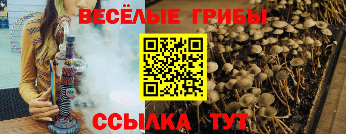 Галлюциногенные грибы ЛСД  Вход с VPN  Карасук  Псилоцибиновые грибы MAGIC MUSHROOMS 